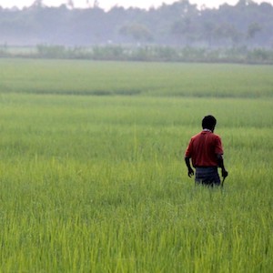 man in field