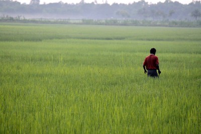 Man in field