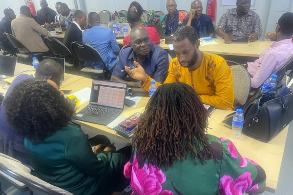  Sierra Leone NPHA Development Workshop